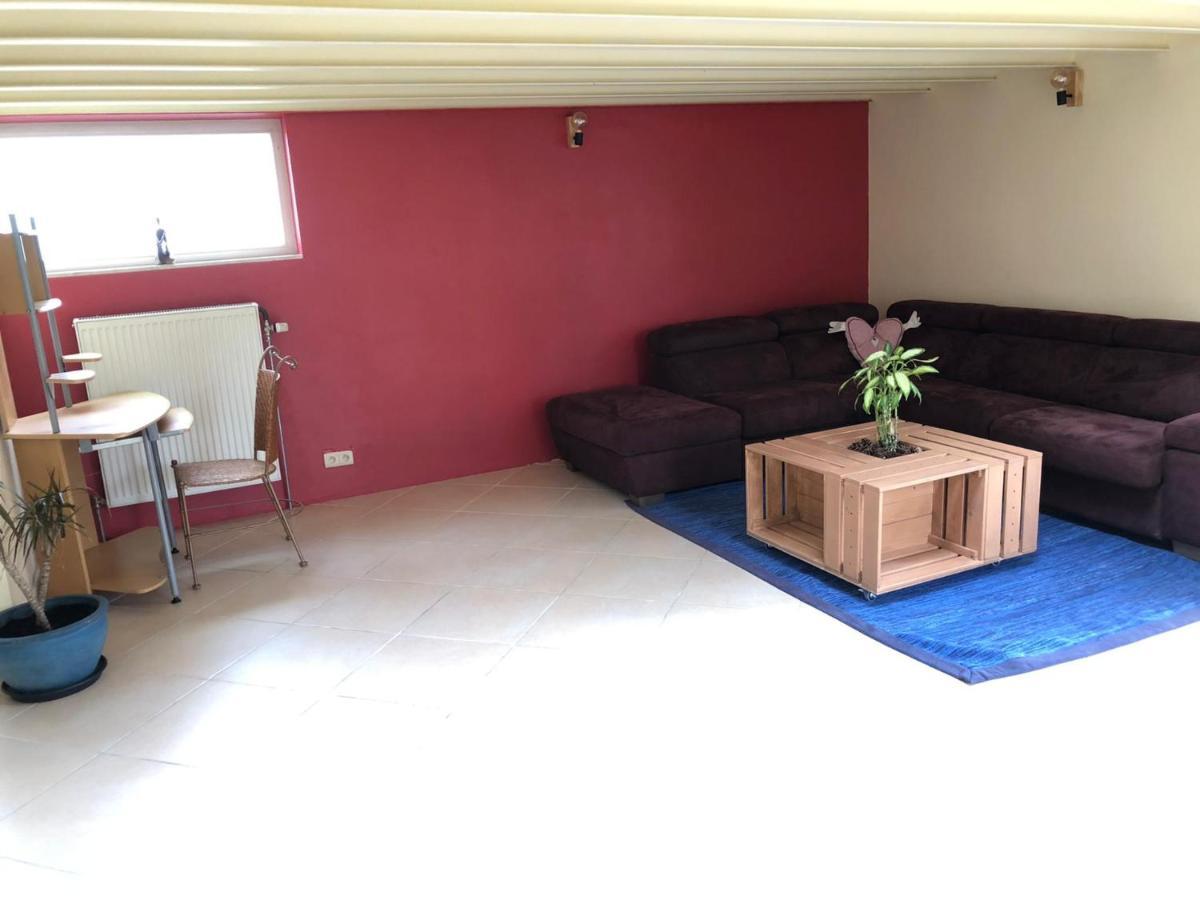 הוילארט Home Sweet Home In The Green Lung Of Brussels מראה חיצוני תמונה